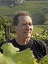 Stefano Bellotti