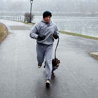 Rocky Balboa : photo Sylvester Stallone