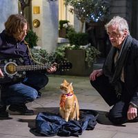 A Street Cat Named Bob : Photo Luke Treadaway, Roger Spottiswoode