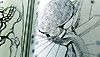 <strong>Teeth</strong> Extrait vidéo VF