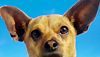 <strong>Le Chihuahua de Beverly Hills</strong> Bande-annonce VF