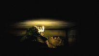 <strong>Buried</strong> Teaser VO