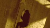 <strong>Faites le mur !</strong> Teaser VO