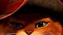 <strong>Le Chat Potté</strong> Teaser VF