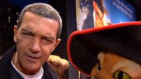 <strong>Le Chat Potté</strong> Reportage VO