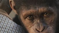 <strong>La Planète des singes : les origines</strong> Extrait vidéo VF