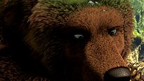 <strong>L'Ours Montagne</strong> Bande-annonce VF