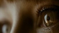 <strong>The Divide</strong> Bande-annonce VO