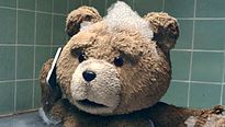 <strong>Top 5</strong> N°4 - Les nounours