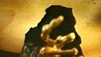 <strong>Top 5</strong> N°11 - La Grande Faucheuse