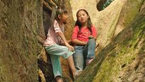 <strong>Le Promeneur d'oiseau</strong> Bande-annonce VO