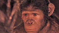 <strong>La Planète des singes : l'affrontement</strong> Teaser VO
