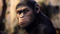 <strong>Top 5</strong> N°382 - Les visages d'Andy Serkis
