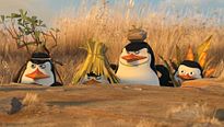 <strong>Top 5</strong> N°394 - Les pingouins