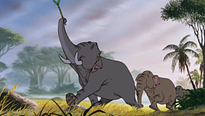 <strong>Top 5</strong> N°396 - Les éléphants