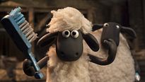 <strong>Top 5</strong> N°582 - Les moutons