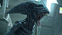 <strong>Fanzone</strong> N°468 - Prometheus 2 devient... Alien