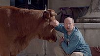 <strong>La Vache</strong> Bande-annonce VF