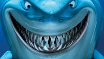 <strong>Top 5</strong> N°218 - Les requins