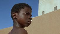 <strong>L'enfant lion</strong> Bande-annonce VF