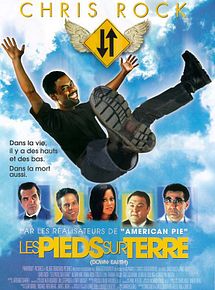 Les Pieds sur terre
