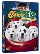 Les Chiots Noël, la relève est arrivée