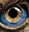 regard00