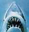DarkShark