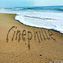 Cinephille
