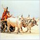 Lagaan : photo