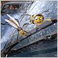 Bee movie - drôle d'abeille : photo Simon J. Smith, Steve Hickner