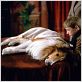 Lassie : Photo Charles Sturridge, Jonathan Mason