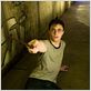 Harry Potter et l'Ordre du Phénix : photo Daniel Radcliffe, David Yates