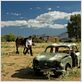 La Nuit des tournesols : photo Jorge Sanchez-Cabezudo