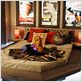 Rex, chien pompier : photo Todd Holland