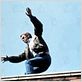 Le Chasseur : photo Buzz Kulik, Steve McQueen