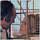Benjamin ou les mémoires d'un puceau : photo