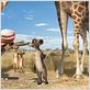 Animaux et Cie : photo Holger Tappe, Reinhard Klooss