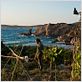 Nicostratos le pélican : photo Emir Kusturica, Olivier Horlait