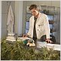 Weeds : photo Hunter Parrish