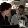 Photo Benedict Cumberbatch, Loo Brealey
