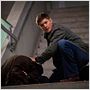 Supernatural : photo Jensen Ackles