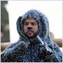 Wilfred (2011) : photo Jason Gann