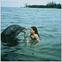 La Grenouille et la Baleine