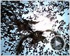 Resident Evil : Extinction Bande-annonce VF Resident Evil : Extinction Bande-annonce VF