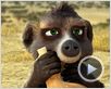Animaux et Cie Bande-annonce (2) VO