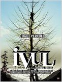 Ivul