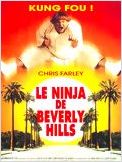 Le Ninja de Beverly Hills