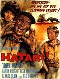 Hatari!