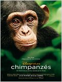 Chimpanzés